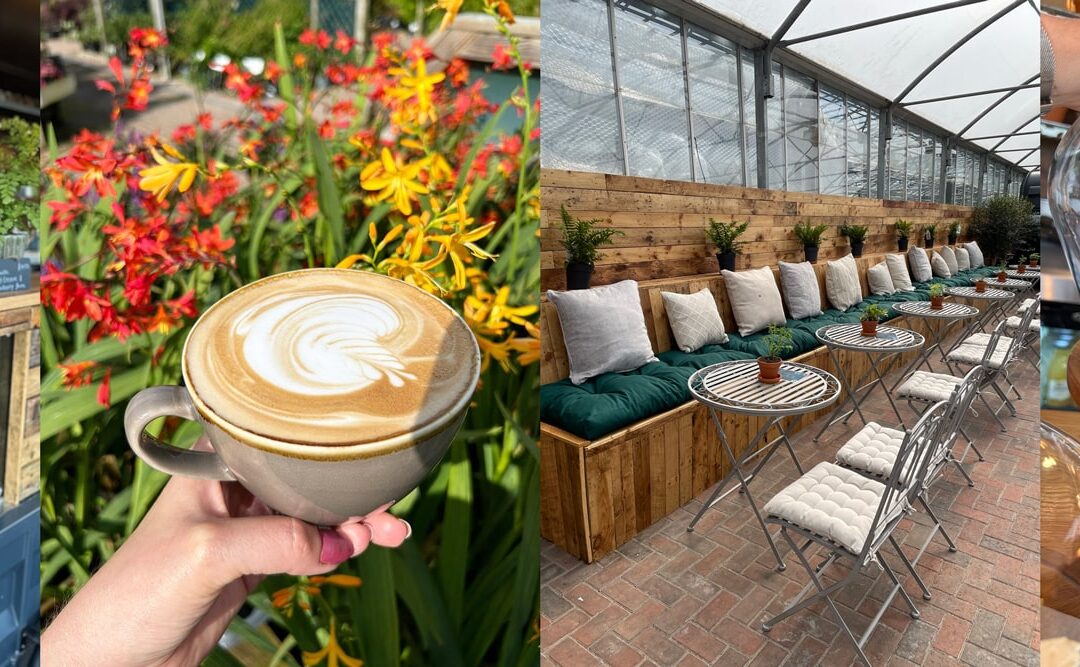 Exciting News: Dawn Nurseries Welcomes “The Coffee Box”!