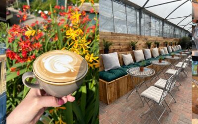 Exciting News: Dawn Nurseries Welcomes “The Coffee Box”!