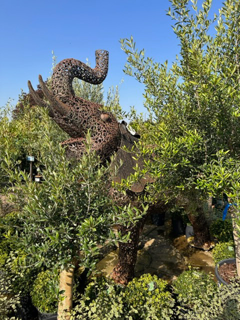 Garden Statues